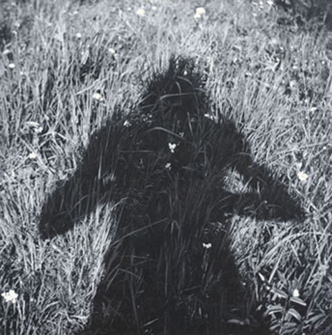 Andrzej Lachowicz