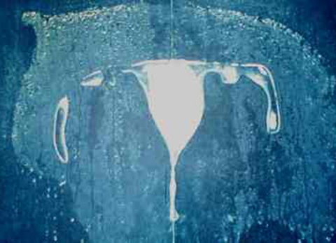 The Inner Side of The Outer Space 