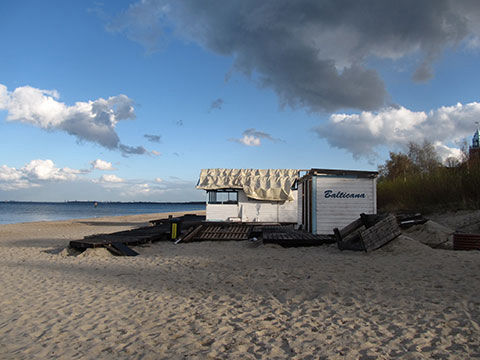 Błądzenie losowe